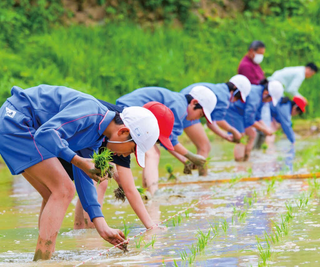 旭学園の棚田授業の画像