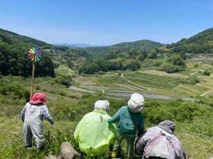 棚田を眺めるかかしたちの画像