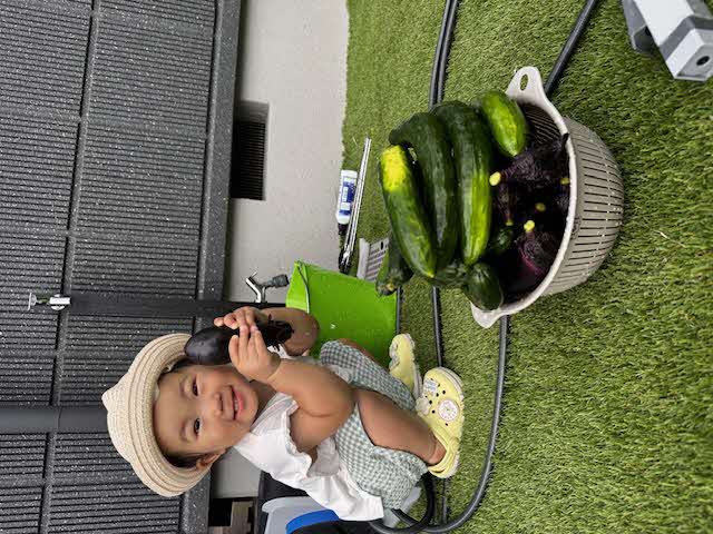 夏野菜を手に取る小林さんのこどもの画像