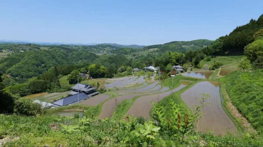 テラス席から眺める棚田が広がる画像