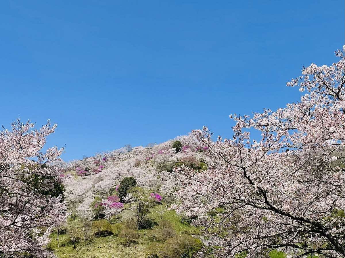 三休公園の画像