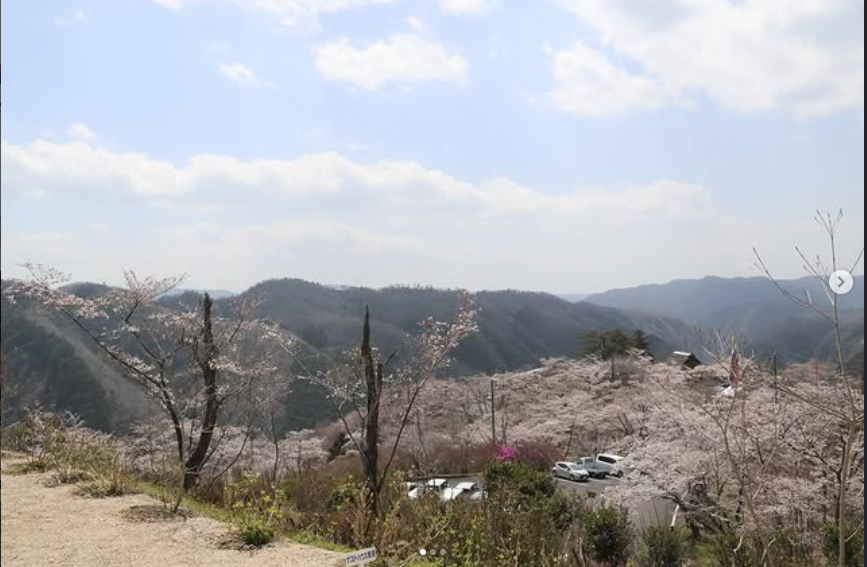 三休公園の上からの画像