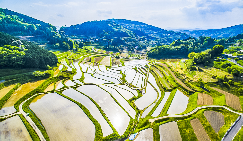 大垪和西の棚田の画像