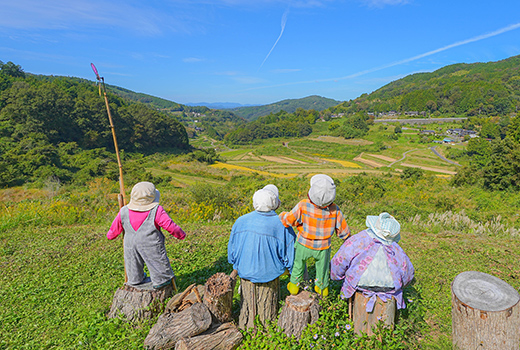 豊かな自然の中で青空を見上げている帽子をかぶった4人組の写真