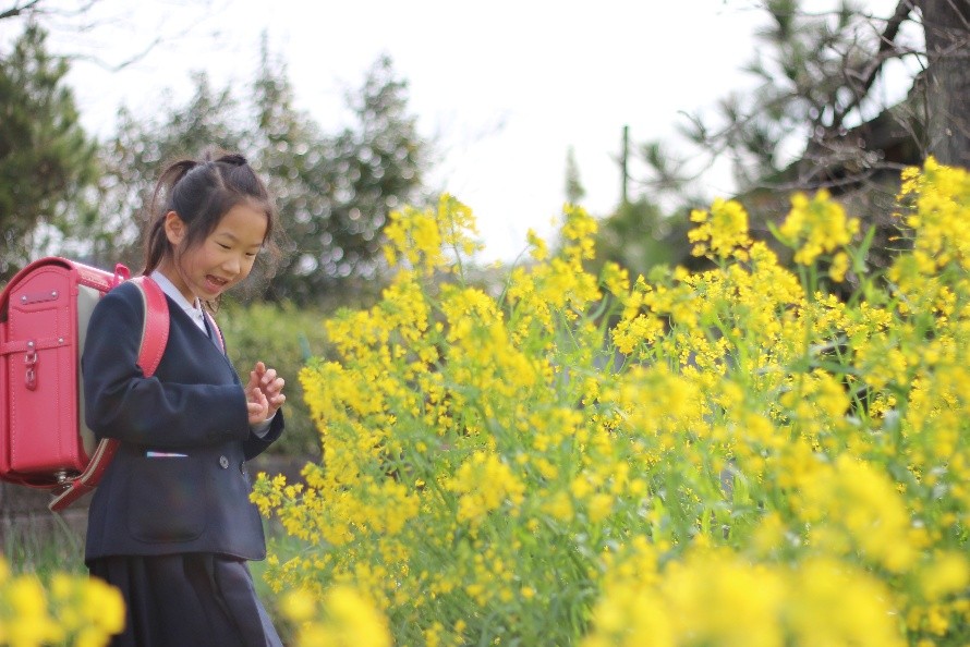 小学生女の子の画像