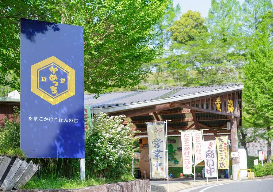 食堂かめっちの外観の画像