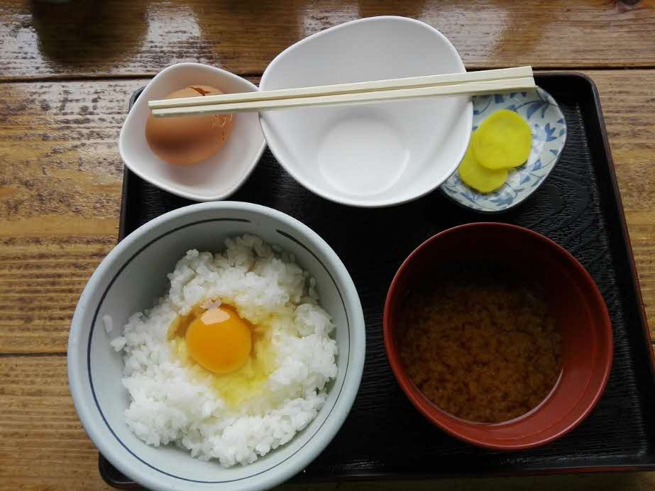 たまごかけご飯の名所・食堂かめっち。の画像