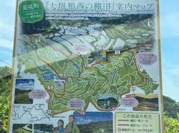 棚田マップの画像
