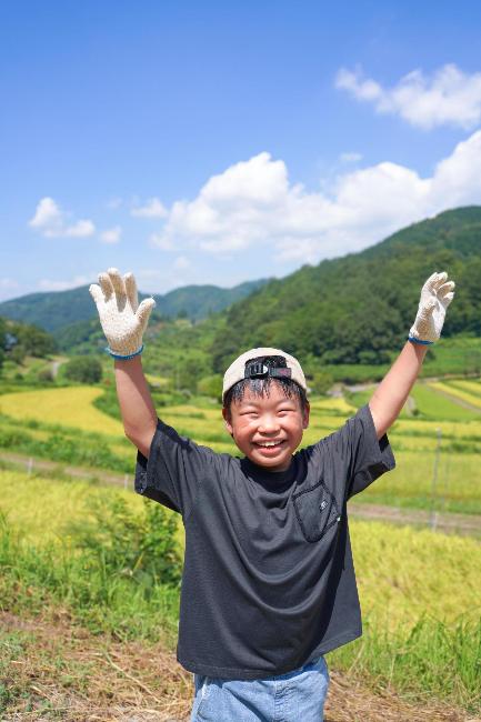 青空と棚田と少年の画像