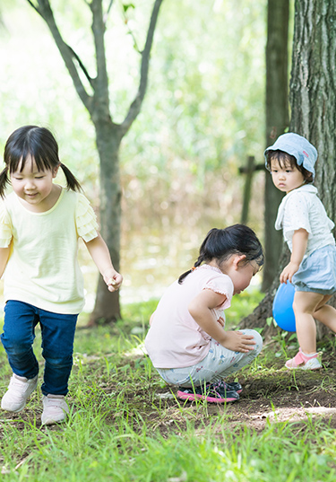 森で女の子3人が遊んでいる様子の写真