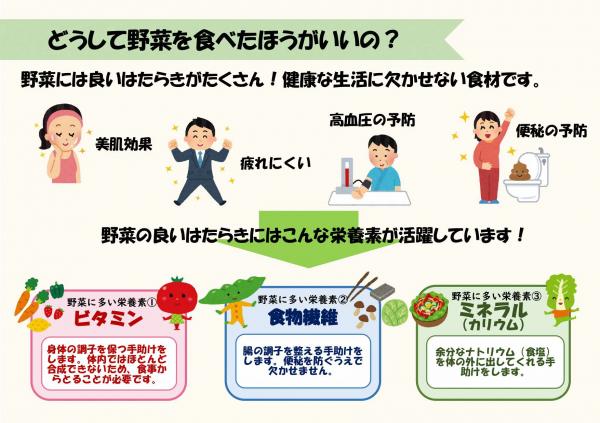 野菜の効果と栄養素についての説明イラスト