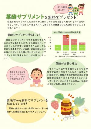 葉酸サプリメントのチラシの表面