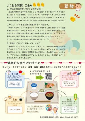 葉酸サプリメントのチラシの裏面