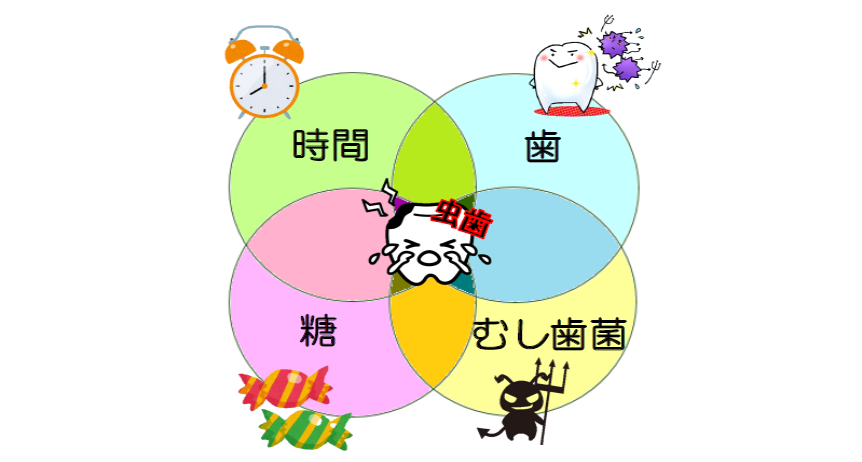虫歯の原因となる4つの要素の輪の図説