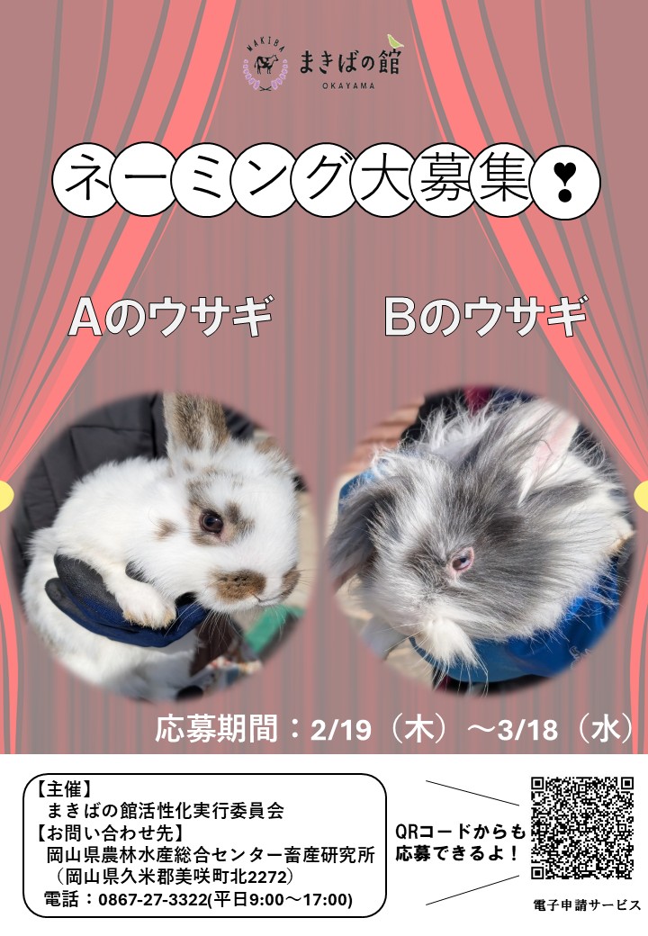 チラシ ウサギ ネーミング大募集