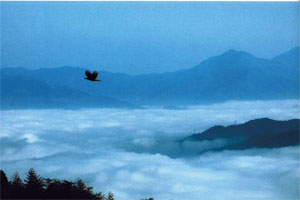 雲を足元よりも下に眺めることができる青く幻想的な雲海の写真