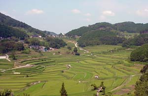 日本棚田百選に選ばれている大垪和西の棚田の航空写真