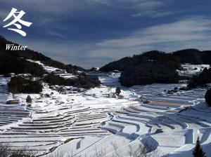 雪化粧に覆われた大垪和棚田の冬の風景の写真