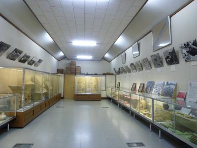 様々な高さのショーケースに入れられた展示品が並んでいる写真