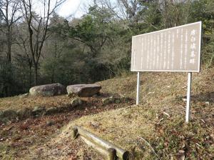 森の開けた場所に立つ看板の写真
