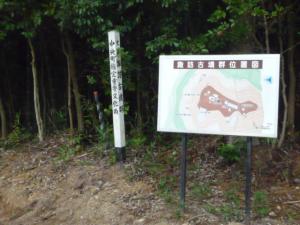 森の前に置かれた地図看板の写真