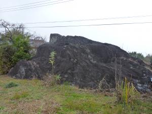 草の生えた場所にある岩の写真